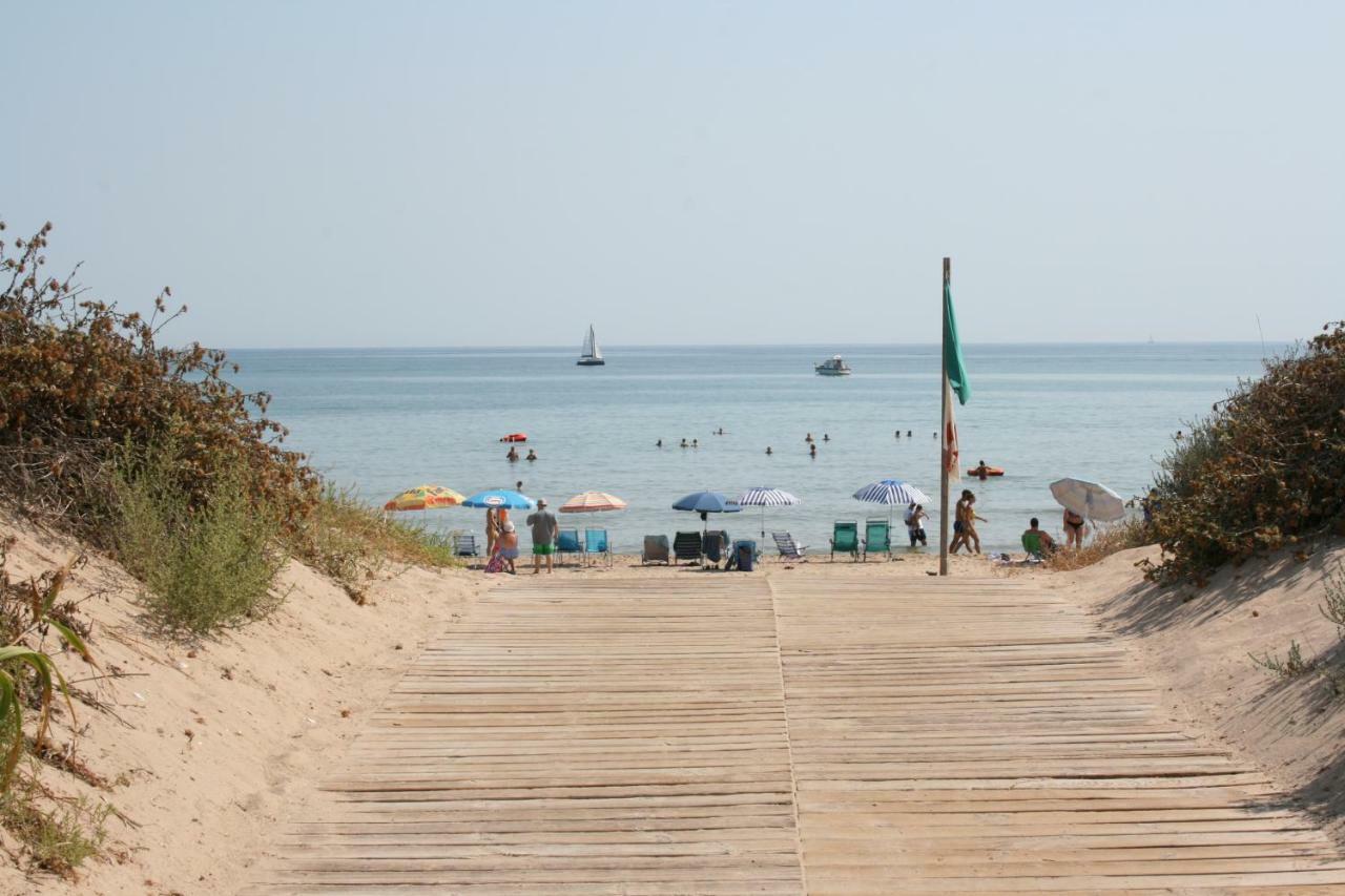 Oliva Holidays 1 Bagian luar foto